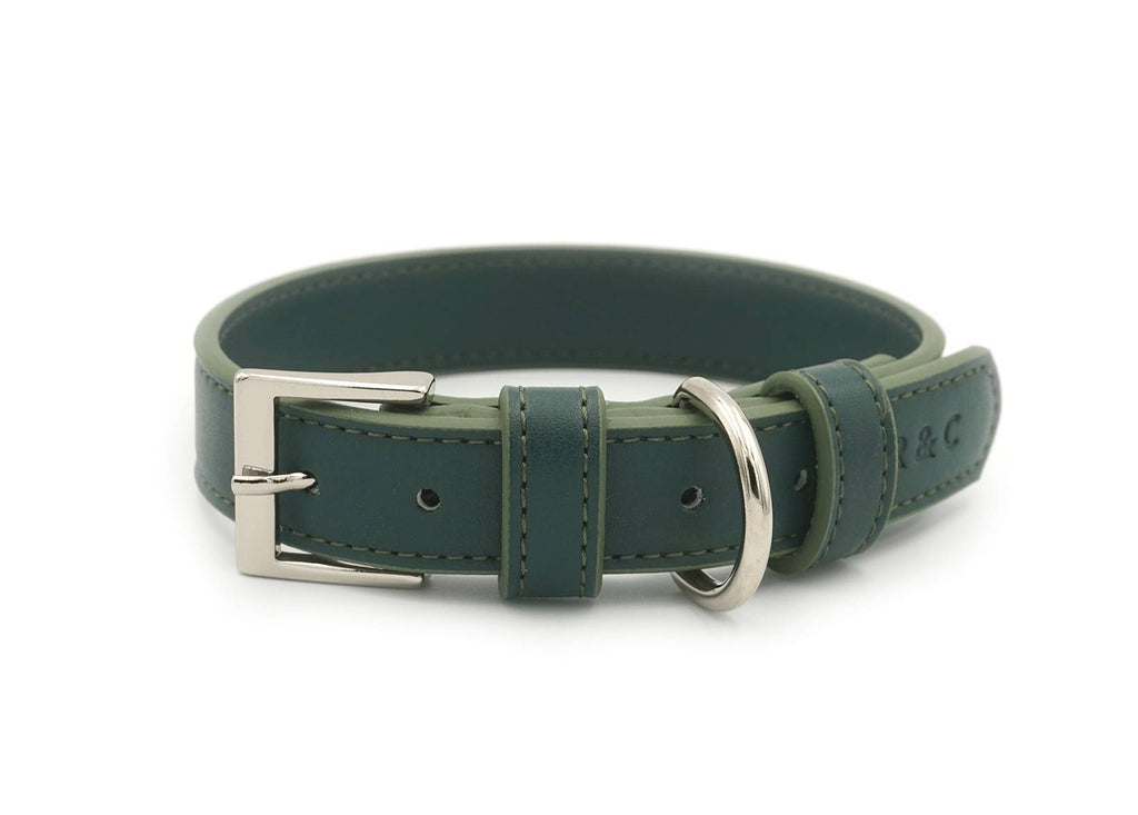 Luxury Vegan Leather Dog Collar | Eco-Friendly, Water-Resistant | Green