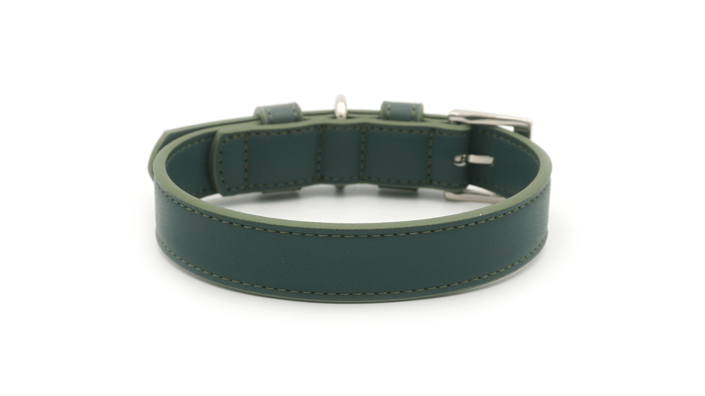 Luxury Vegan Leather Dog Collar | Eco-Friendly, Water-Resistant | Green