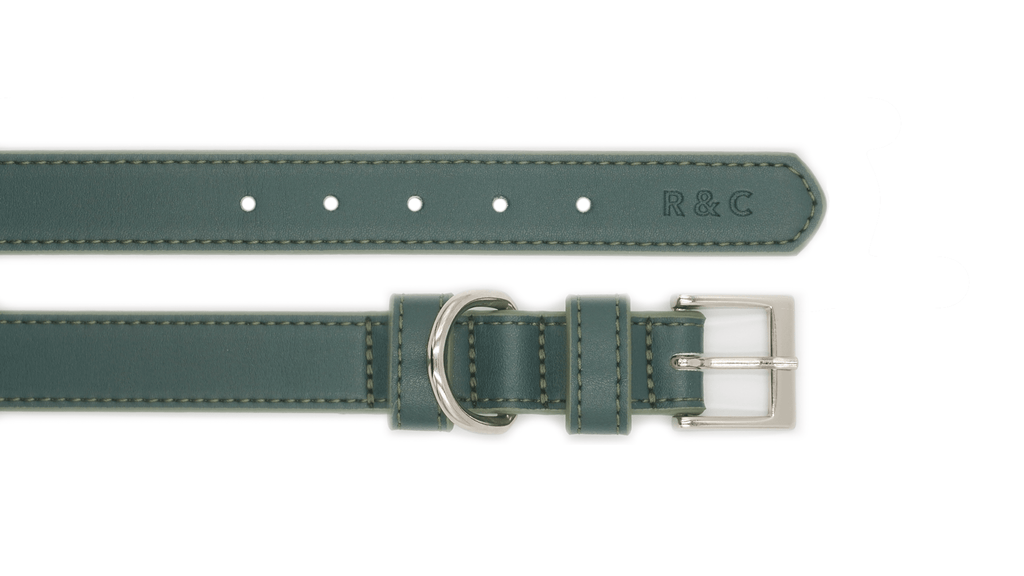 Luxury Vegan Leather Dog Collar | Eco-Friendly, Water-Resistant | Green