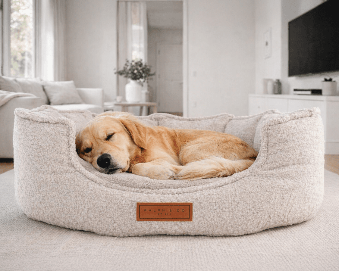 Luxury Boucle Dog Bed | Orthopaedic, High Wall | The Cotswold | The Hound & Dane