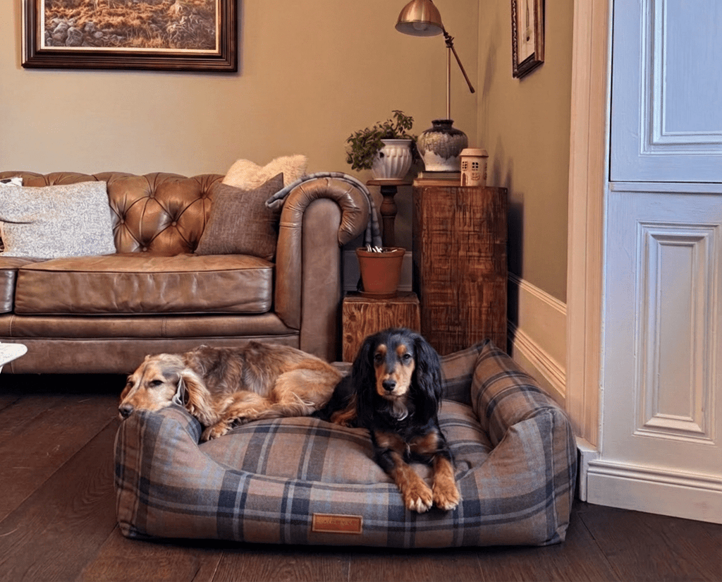 Luxury Tartan Dog Bed | Memory Foam, Washable | The Marlow | The Hound & Dane