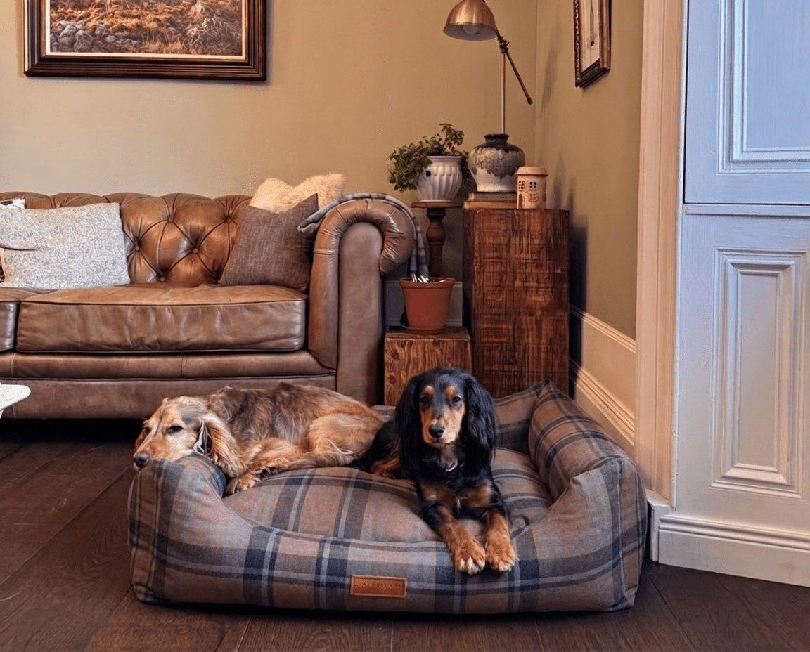 Luxury Tartan Dog Bed | Memory Foam, Washable | The Marlow | The Hound & Dane