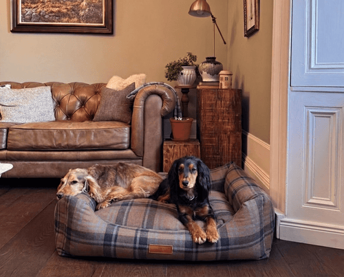 Luxury Tartan Dog Bed | Memory Foam, Washable | The Marlow | The Hound & Dane